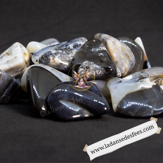Agate Dendritique