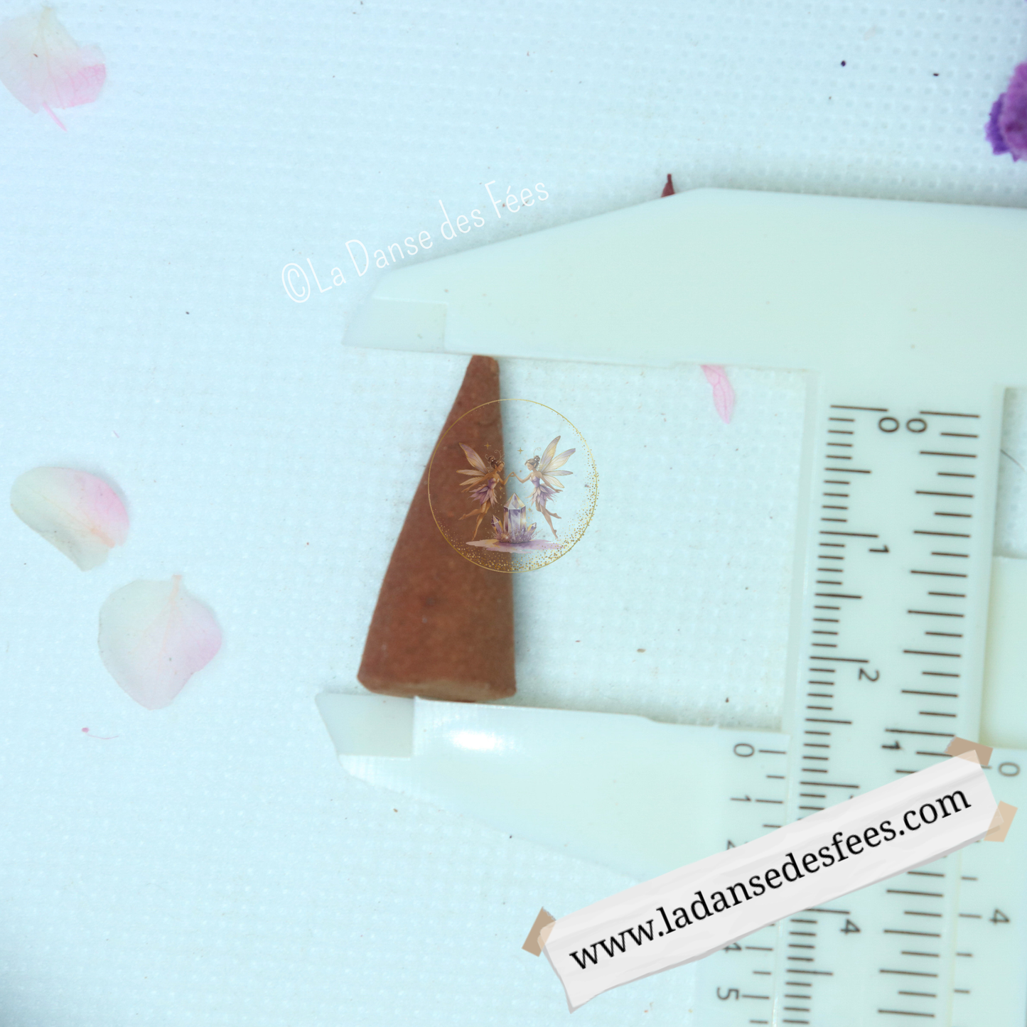 Pêche & Mangue (encens cônes)